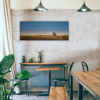 Bull Elk at Sunrise - Wood & Metal Wall Art Wood & Metal Wall Art Michael Underwood