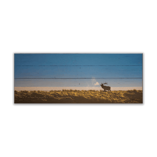 Bull Elk at Sunrise - Wood & Metal Wall Art Wood & Metal Wall Art Michael Underwood Wood 16" x 7"