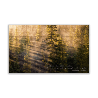 Sunshine in the Forest - Wood & Metal Wall Art Wood & Metal Wall Art Michael Underwood Wood 14" x 8"