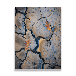 Autumn in Paria Canyon - Wood & Metal Wall Art Wood & Metal Wall Art Michael Underwood Wood 9" x 12"