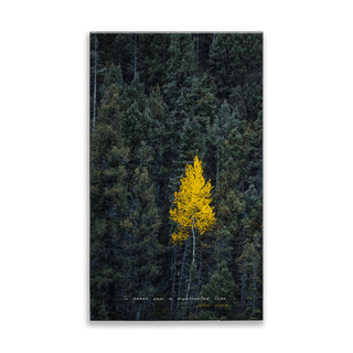 Lone Gold Aspen- Wood & Metal Wall Art Wood & Metal Wall Art Michael Underwood Wood 8" x 14"