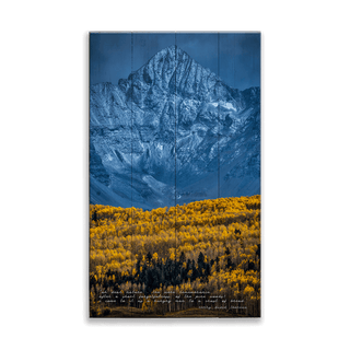 Majestic Peak - Wood & Metal Wall Art Wood & Metal Wall Art Michael Underwood Wood 8" x 14"