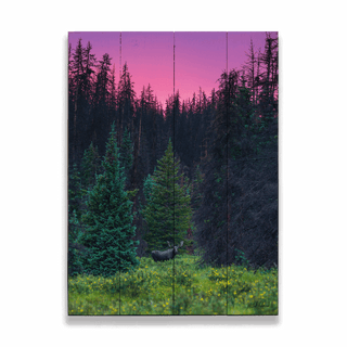 Bull Moose at Sunset - Wood & Metal Wall Art Wood & Metal Wall Art Michael Underwood Wood 9" x 12"