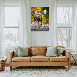 Alaskan Bull Moose - Wood & Metal Wall Art Wood & Metal Wall Art Michael Underwood