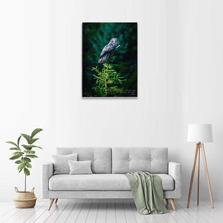 Great Gray Owl - Wood & Metal Wall Art Wood & Metal Wall Art Michael Underwood
