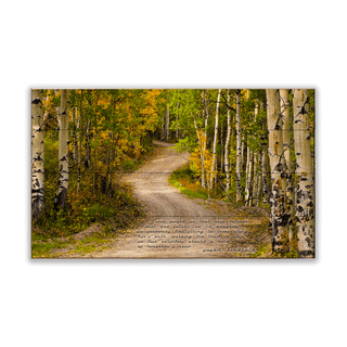 Path in the Aspens - Wood & Metal Wall Art Wood & Metal Wall Art Michael Underwood Wood 14" x 8"