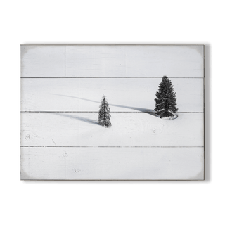 Solitude's Shadows - Wood & Metal Wall Art Wood & Metal Wall Art Michael Underwood Wood 12" x 9"