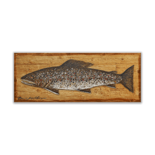 Brown Trout: Generic - Metal on Wood Shaped Wall Art Shelle Lindholm