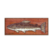 Dolly Varden: Generic