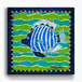 Blue and White Angelfish