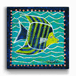 Green and Blue Angelfish