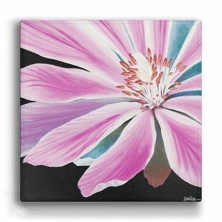 Blooming Bitterroot - Metal Box Art Metal Box Wall Art Nancy Seiler