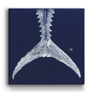 Tuna Tail on Blue - Metal Box Art Metal Box Wall Art FishAye Trading Company