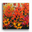 Indian Paintbrush II