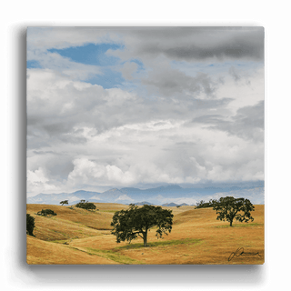 Los Olivos: Metal Box Art Metal Box Wall Art John Lichtwardt