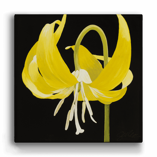 Glacier Lily - Metal Box Art Metal Box Wall Art Nancy Seiler