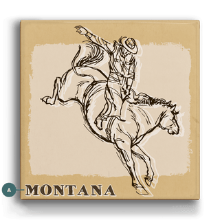 Bronc Rider I: The First Buck - Metal Box Art Metal Box Wall Art Out West Design