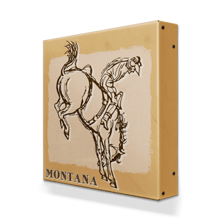Bronc Rider V: Full Buck - Metal Box Art Metal Box Wall Art Out West Design
