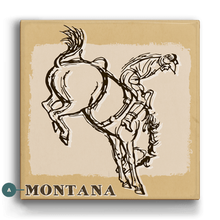 Bronc Rider V: Full Buck - Metal Box Art Metal Box Wall Art Out West Design
