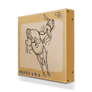 Bronc Rider VII: Airborne - Metal Box Art Metal Box Wall Art Out West Design