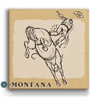 Bronc Rider VII: Airborne - Metal Box Art Metal Box Wall Art Out West Design