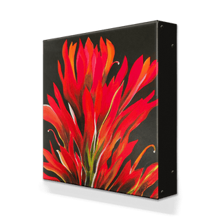 Scarlet Paintbrush - Metal Box Art Metal Box Wall Art Nancy Seiler