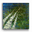 Looking Skyward 2: The Ascend