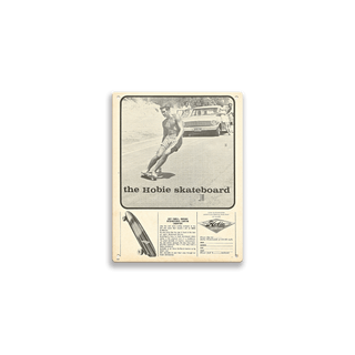 Hobie Skateboard Champion - Metal Wall Art Wood & Metal Wall Art Hobie