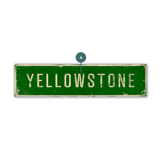 Landmark Classic Custom Signs: Green 1 - Wall Decor Wood & Metal Wall Art Out West Design