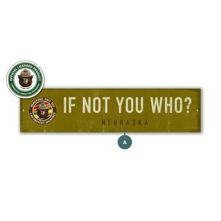 Smokey Bear If Not You Who: Forest Green Landmark - Wall Decor Wood & Metal Wall Art Smokey Bear