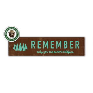 Smokey Bear Remember with Forest Icon - Wall Decor Wood & Metal Wall Art Smokey Bear