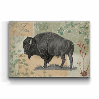 Wildwood Bison - Metal Box Art Metal Box Wall Art Meissenburg Designs