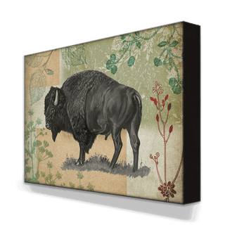 Wildwood Bison - Metal Box Art Metal Box Wall Art Meissenburg Designs