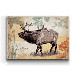 Wildwood Elk - Metal Box Art Metal Box Wall Art Meissenburg Designs