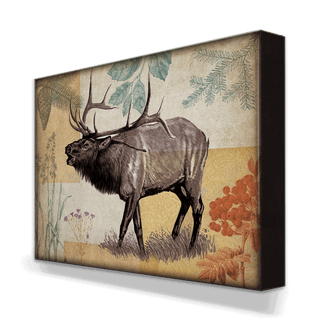 Wildwood Elk - Metal Box Art Metal Box Wall Art Meissenburg Designs