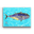 Solo Bluefin