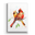 Metal Box Art