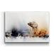 Metal Box Art