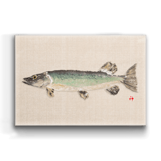 Northern Pike - Metal Box Art