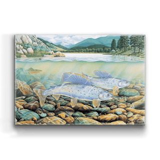 Montana Grayling - Metal Box Art Metal Box Wall Art Monte Dolack
