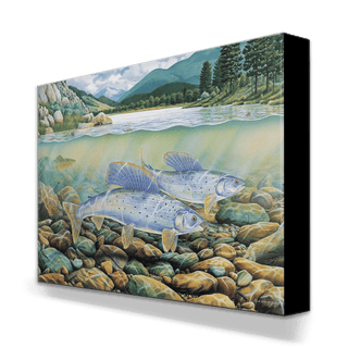 Montana Grayling - Metal Box Art Metal Box Wall Art Monte Dolack