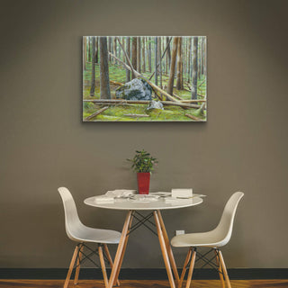Cedar Forest in Glacier - Metal Box Art Metal Box Wall Art Monte Dolack