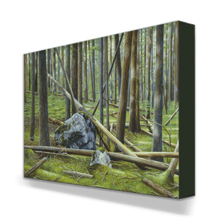 Cedar Forest in Glacier - Metal Box Art Metal Box Wall Art Monte Dolack