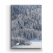 Metal Box Art