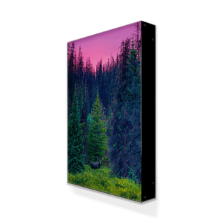 Bull Moose at Sunset - Metal Box Art Metal Box Wall Art Michael Underwood