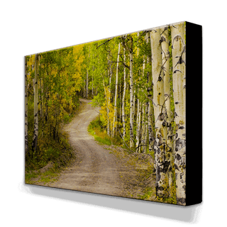 Path in the Aspens - Metal Box Art Metal Box Wall Art Michael Underwood
