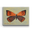 American Copper