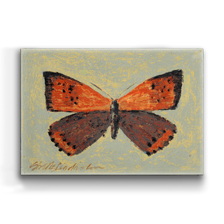 American Copper Butterfly - Metal Box Art Metal Box Wall Art Shelle Lindholm