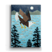 Metal Box Art