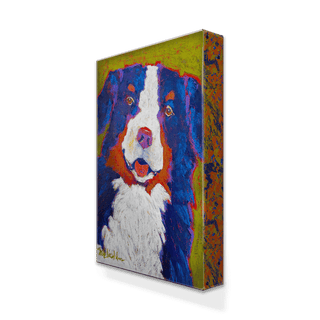 Big Bernie: Bernese Mountain Dog - Metal Box Art Metal Box Wall Art Shelle Lindholm